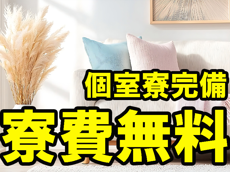 製品開発サポート／女性の方にもお勧め／重量物の扱いなし／個室寮完備＆寮費無料／未経験から活躍可能です【仕事No1529-1】